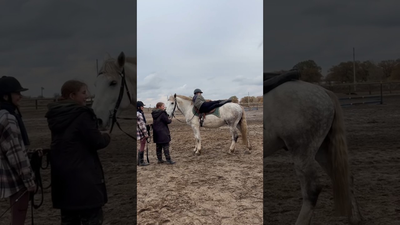 Заездка мягкими методами происходит именно так 