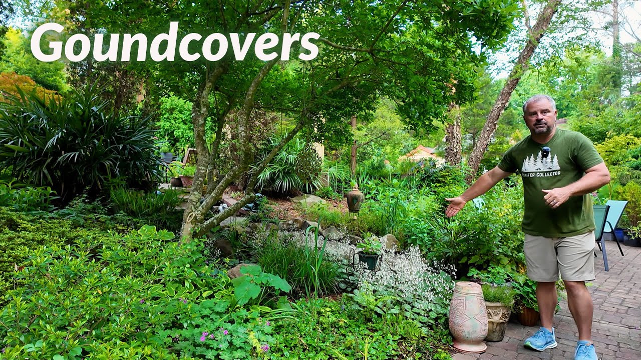 The Importance of Groundcover Plants - Five Minute Friday