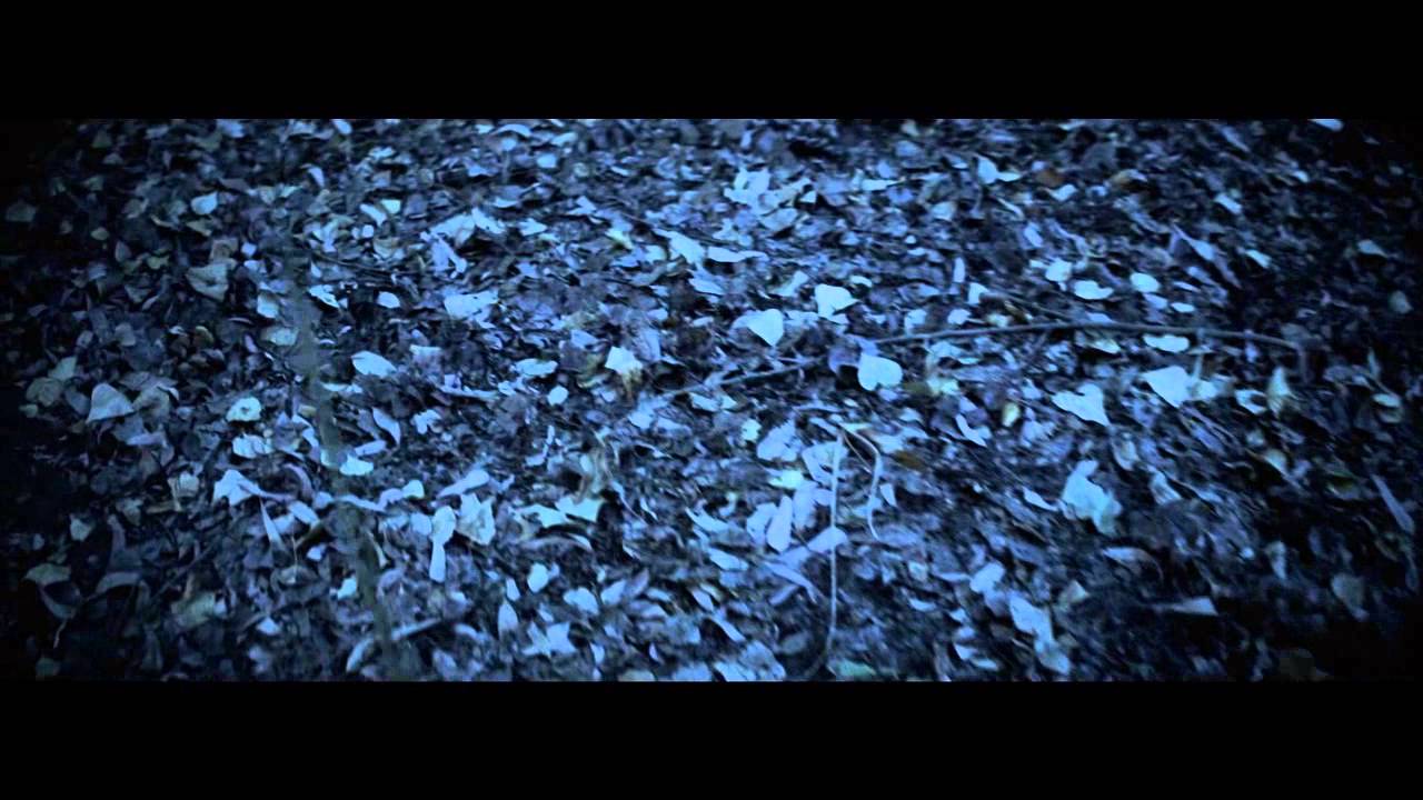 Protistas - En mis genes (video oficial)