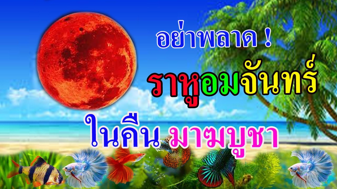 ราหูอมจันทร์ในคืนมาฆบูชา