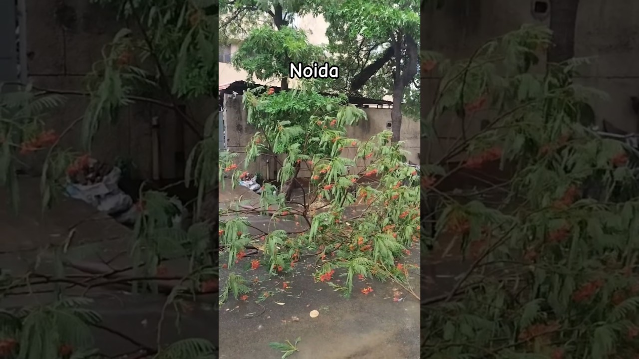Destruction After Heavy Rain in Noida #shortsfeed #ytshorts #trendingshorts #thunderstorm #rain