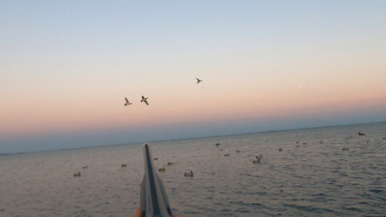 CACCIA alle ANATRE - La mia prima esperienza in LAGUNA 