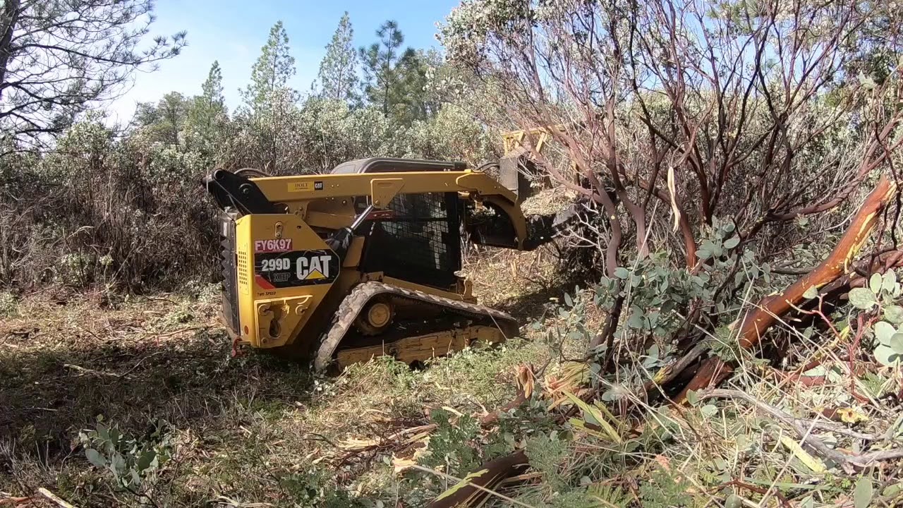 CAT 299D Masticatinig Manzanita with AFE SS ECO MULCHER