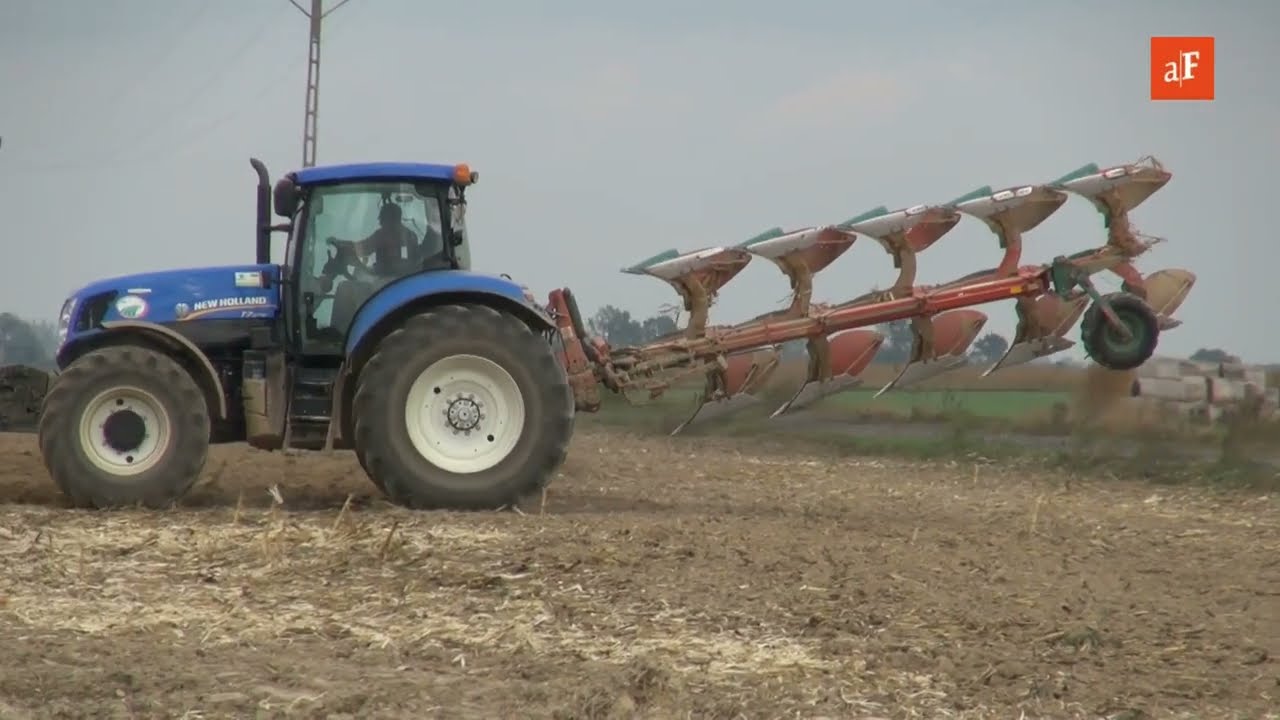 Zobacz, jak wyglądały jesienne prace polowe na Wielkopolsce &ndash; 13 listopada 2018