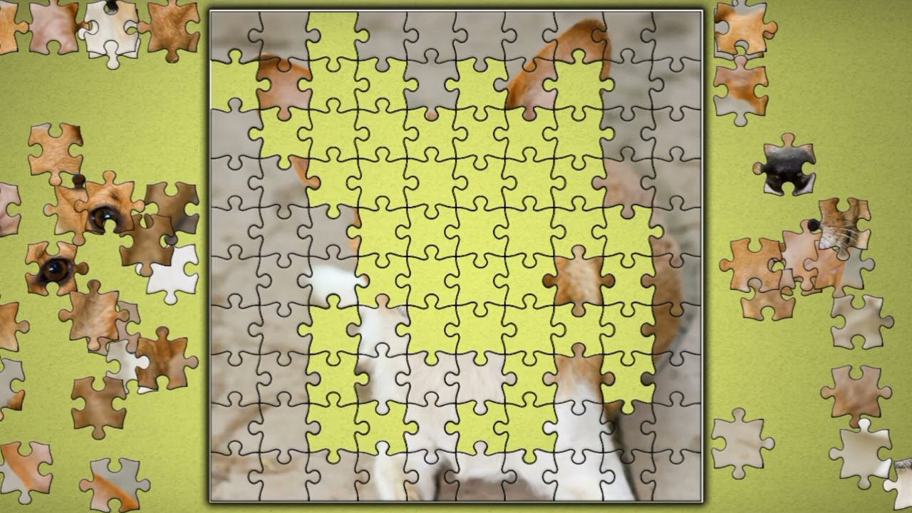 Jack Russell Terrier🐶🐶 jigsaw puzzle🧩🧩 || @funpuzzle1122 