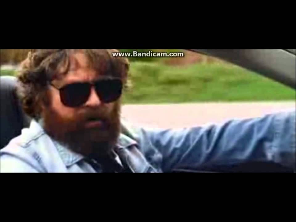 Hangover 3 Giraffe