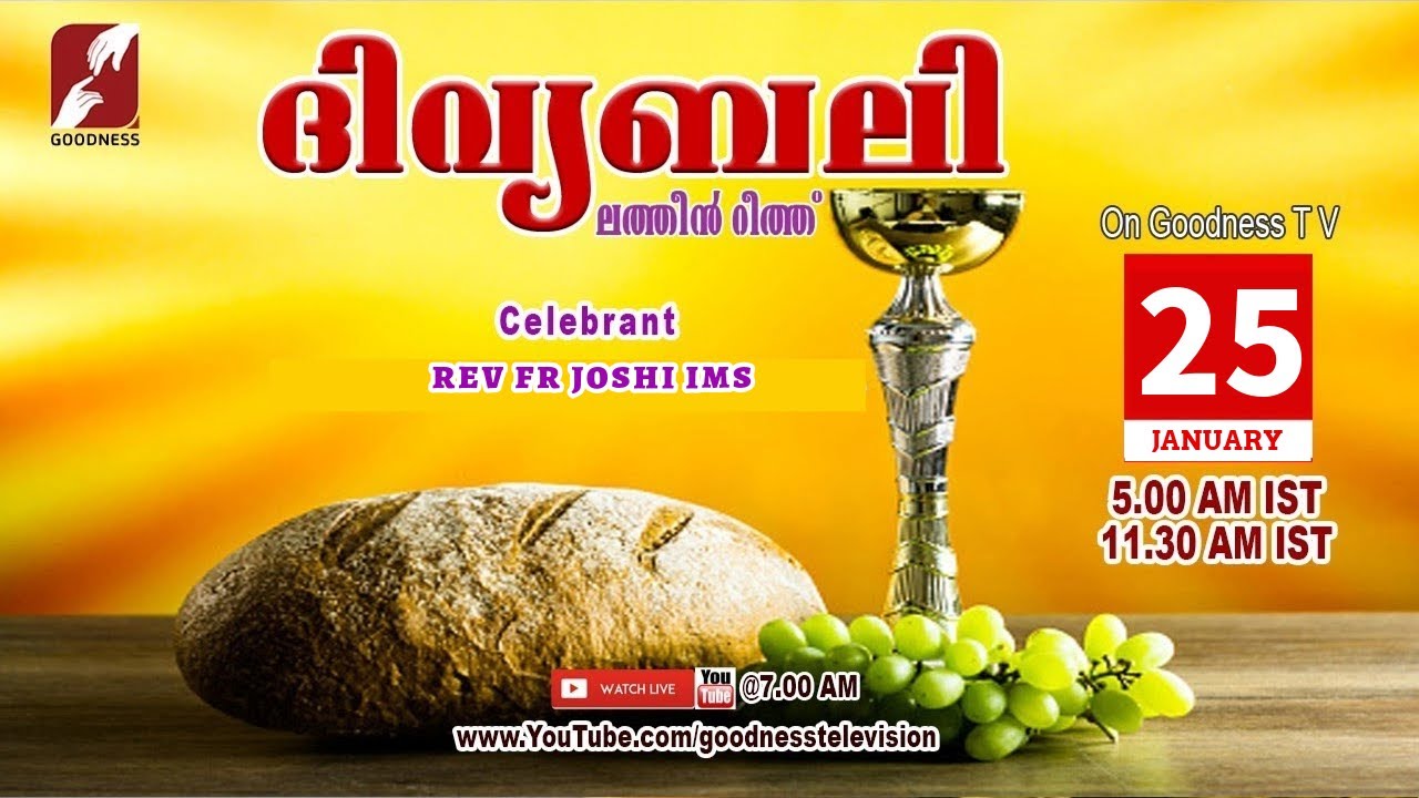 HOLY MASS|LATIN MASS| 25 JAN 2026 |REV FR JOSHI IMS |MALAYALAM QURBANA|TODAY MASS|GOODNESS TV