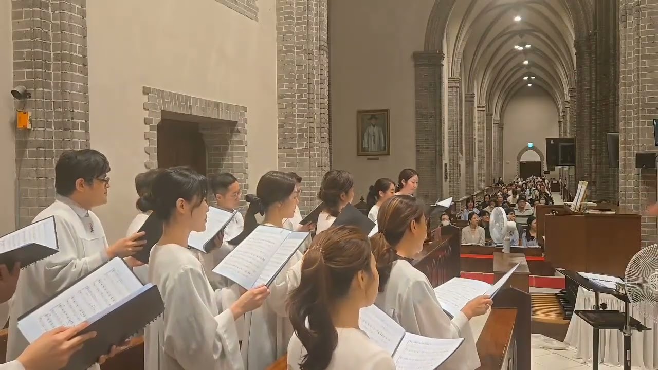 [명동대성당 3545+ 카이로스 성가대] 당신을 향한 노래