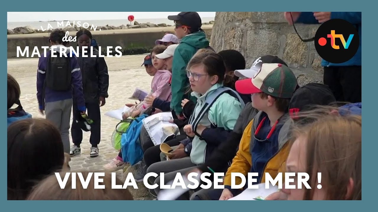 Vive la classe de mer ! - La Maison des maternelles #LMDM