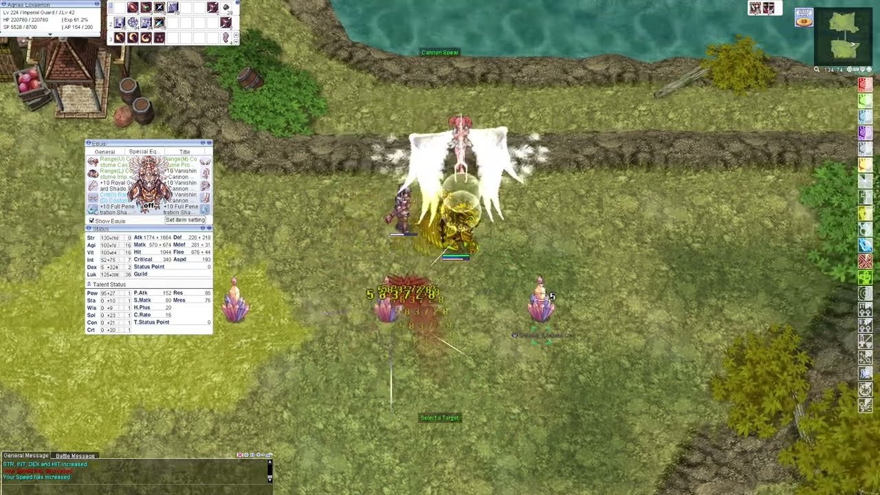 Ragnarok Online - Imperial Guard (Cannon Spear)