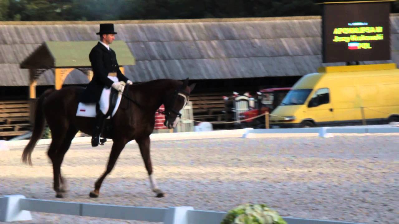 Ujeżdżenie Jerzy Krukowski Apokalipsa M CIC 3* Biały B&oacute;r 4-6.10.13