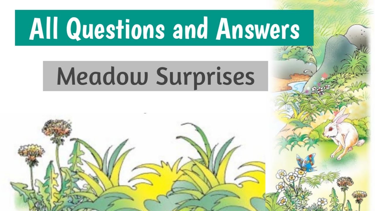 Questions & Answers| Meadow Surprises| Class 7 English Ncert/Cbse