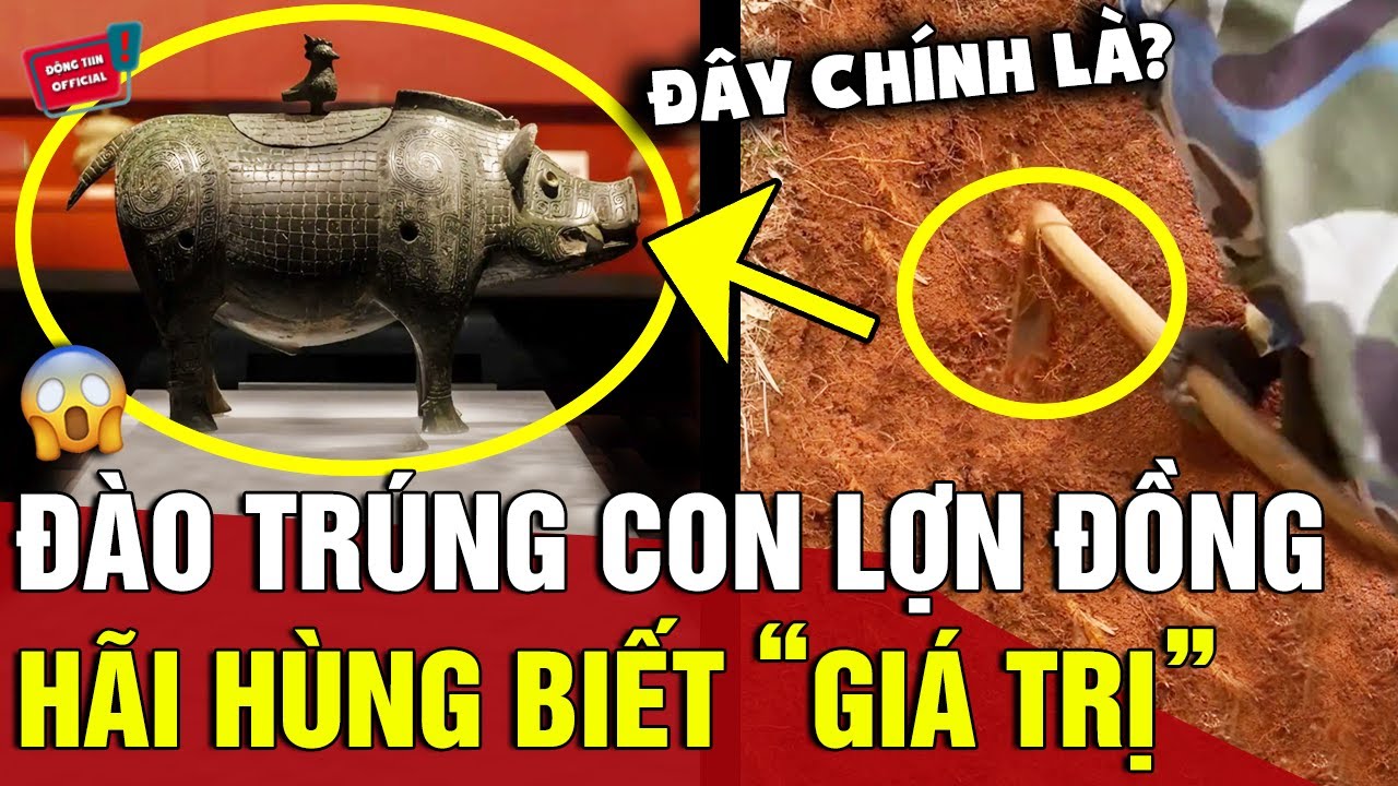 Đào móng xây nhà thấy 'CON LỢN' kỳ lạ, nghe lai lịch khiến chủ nhà 'BỦN RỦN TAY CHÂN' | Động Tiin