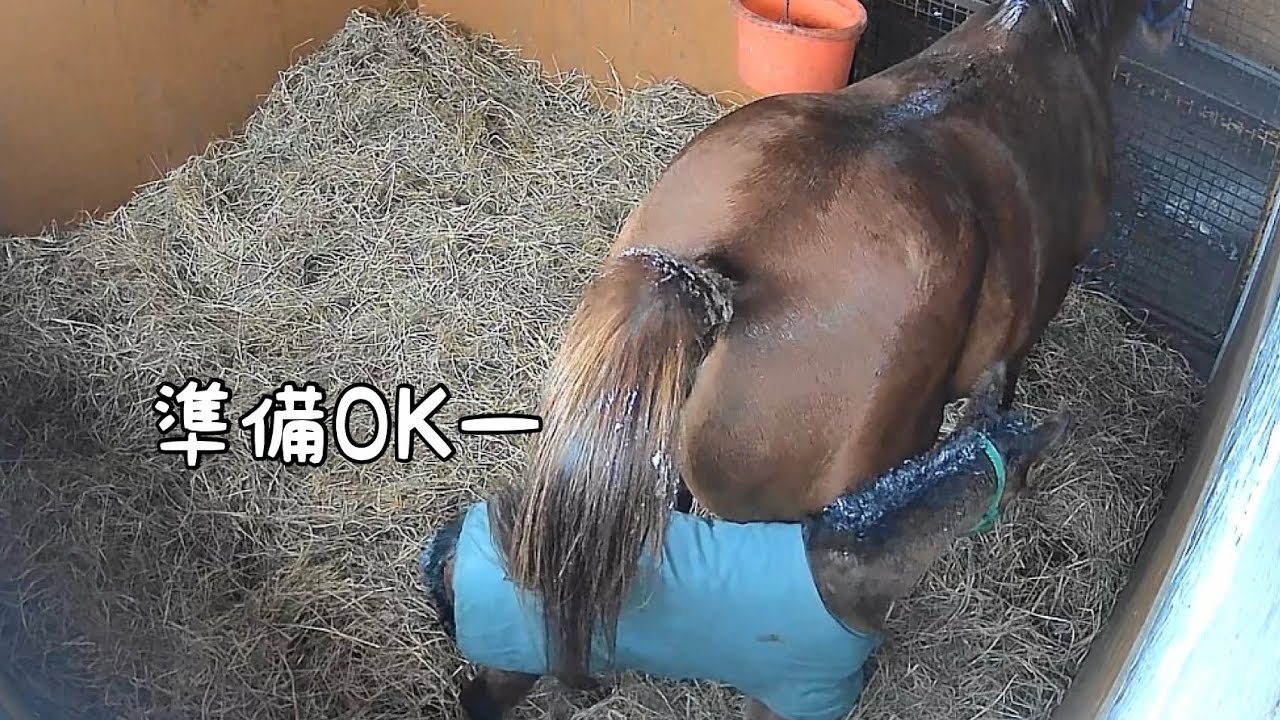 生後8日は運を届ける