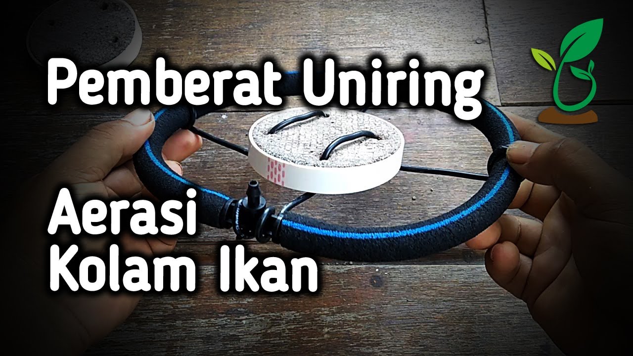 Membuat dan Memasang Pemberat Uniring Yang Dibentuk Melingkar untuk Aerasi Kolam Ikan