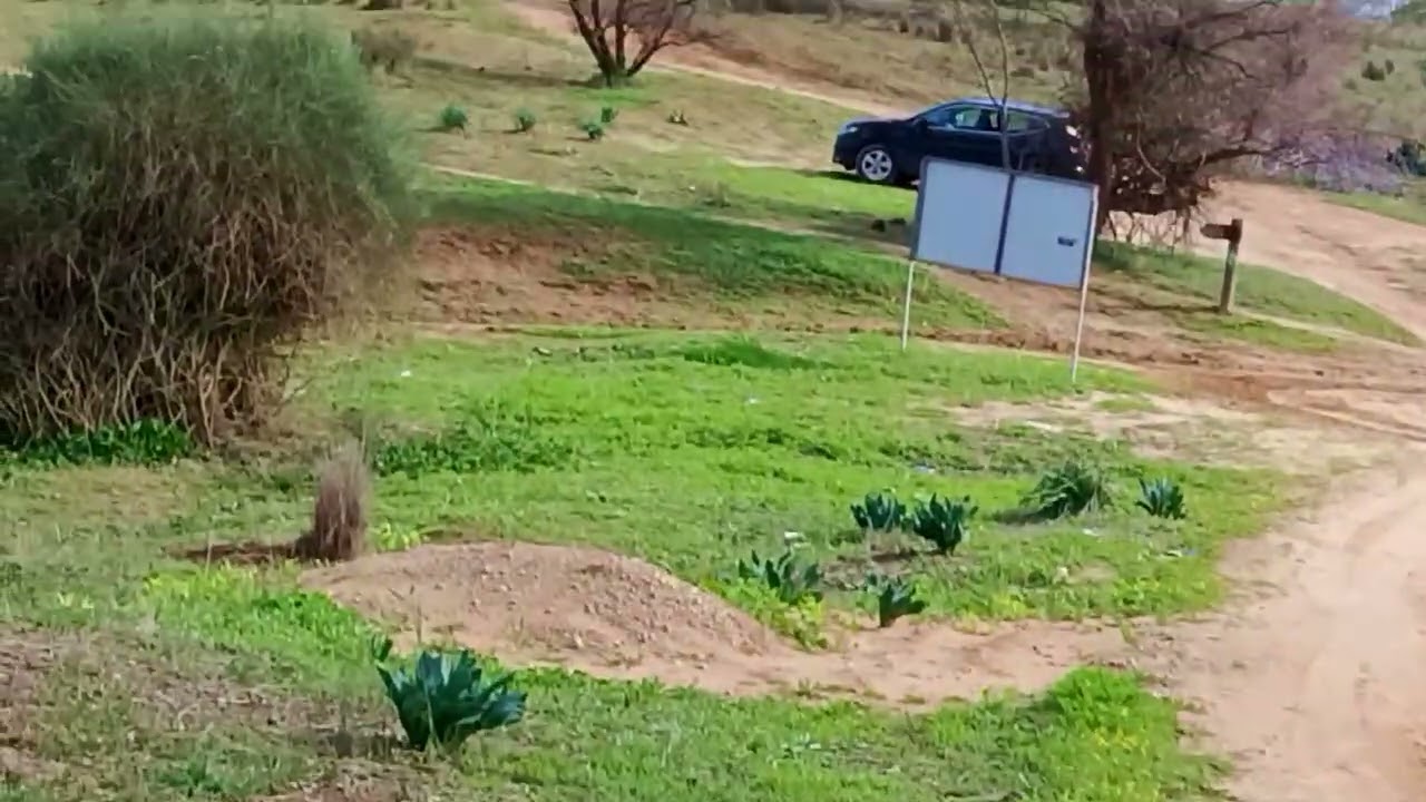 טיול קצר ליער רוחמה בשבת חצי סגרירית של חורף 2025