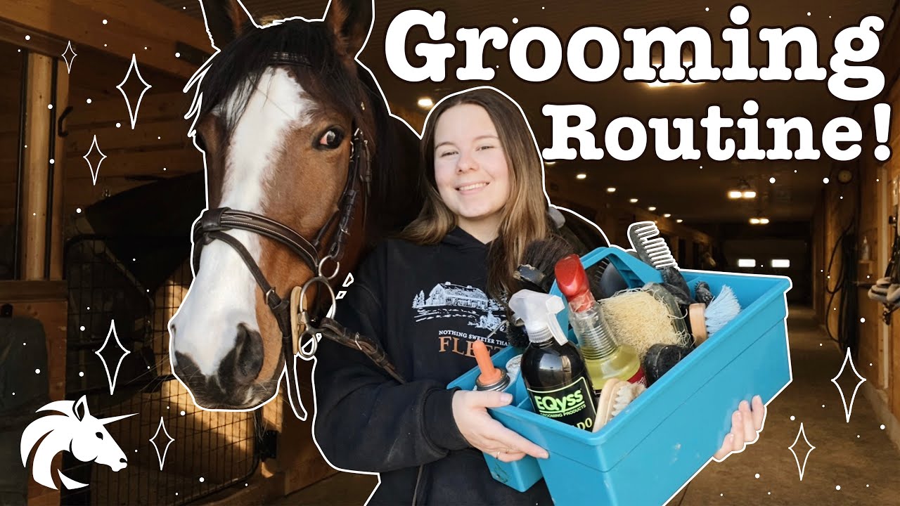 Winter Grooming & Tacking Routine! | Hailey Liberty