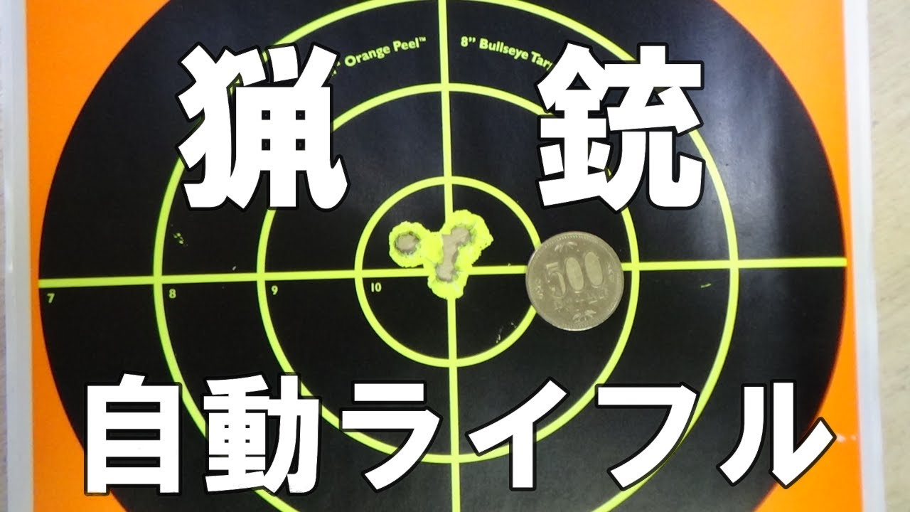 ウソ無し・スコープを調整して標的のド真中に命中させる動画