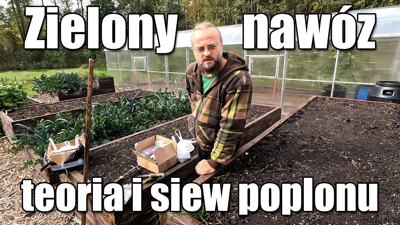 Zielony nawóz jako poplon. Co to jest? Po co siać? Rodzaje nasion  Wstęp do uprawy i sianie.