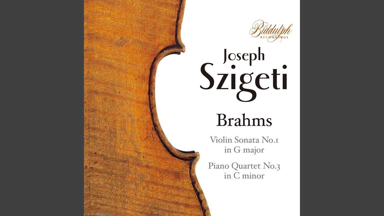 Violin Sonata No. 1 in G Major, Op. 78 
