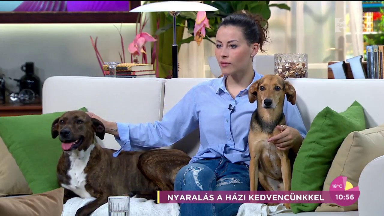 Tornóczky Anita tippjei kutyás nyaraláshoz - tv2.hu/fem3cafe