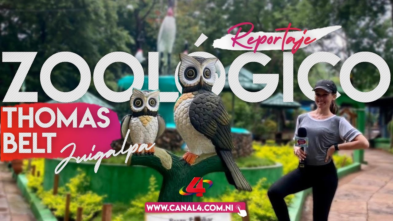 Leones, Tigres, Pumas y hasta Chimpancé podrás encontrar en el Zoológico Thomas Belt de Juigalpa