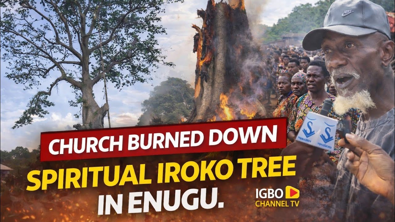 THE IROKO TREE FALL IN ENUGU STATE: CHURCH BURNS DOWN SACRED ANCESTRAL SITE! 