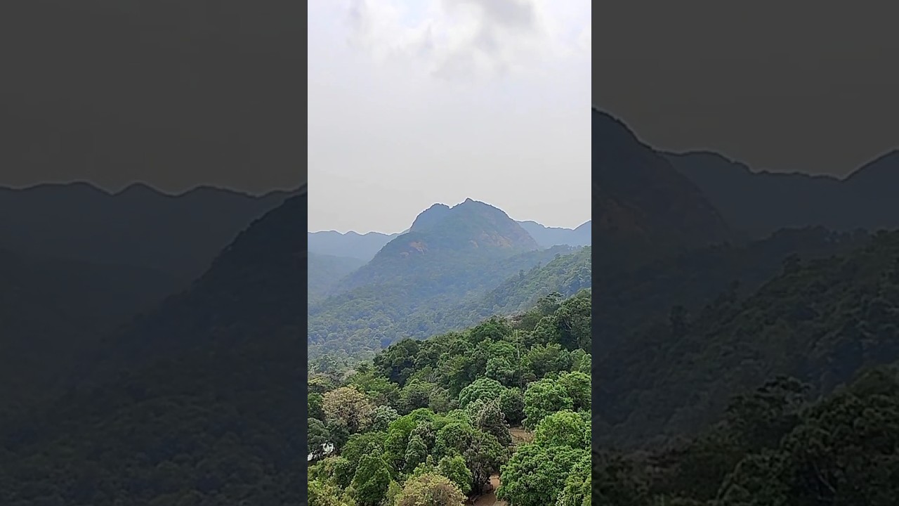 Silent valley National park  | Palakkad | Kerala | #silentvalley #hillstationsofindia #palakkad