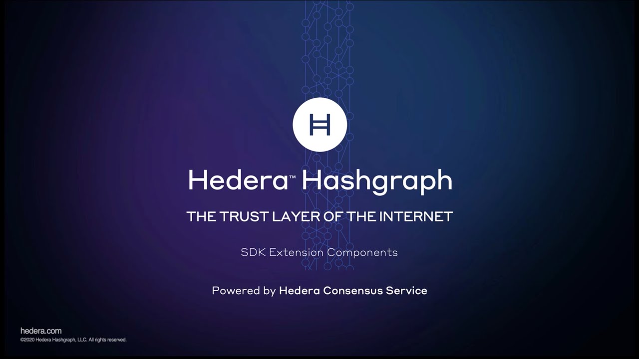 Settlement tracking with real-time auditing using Hedera Consensus Service
