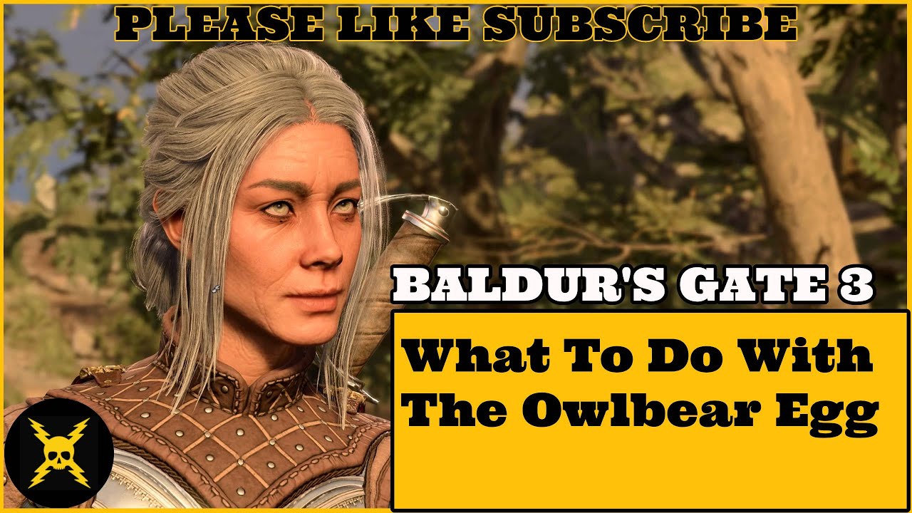 Baldur's Gate 3: What To Do With The Owlbear Egg?