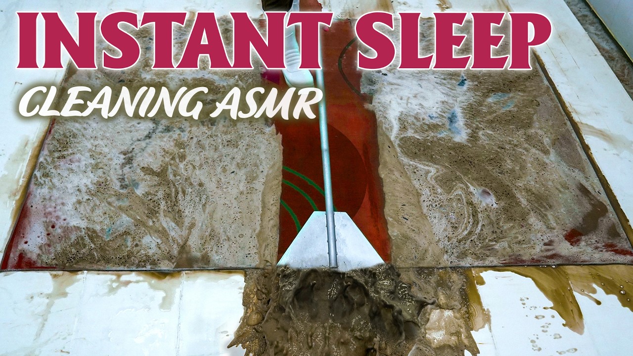 Fall Asleep Fast – Carpet Cleaning for Sleeping with Hypnotic Cleaning ASMR