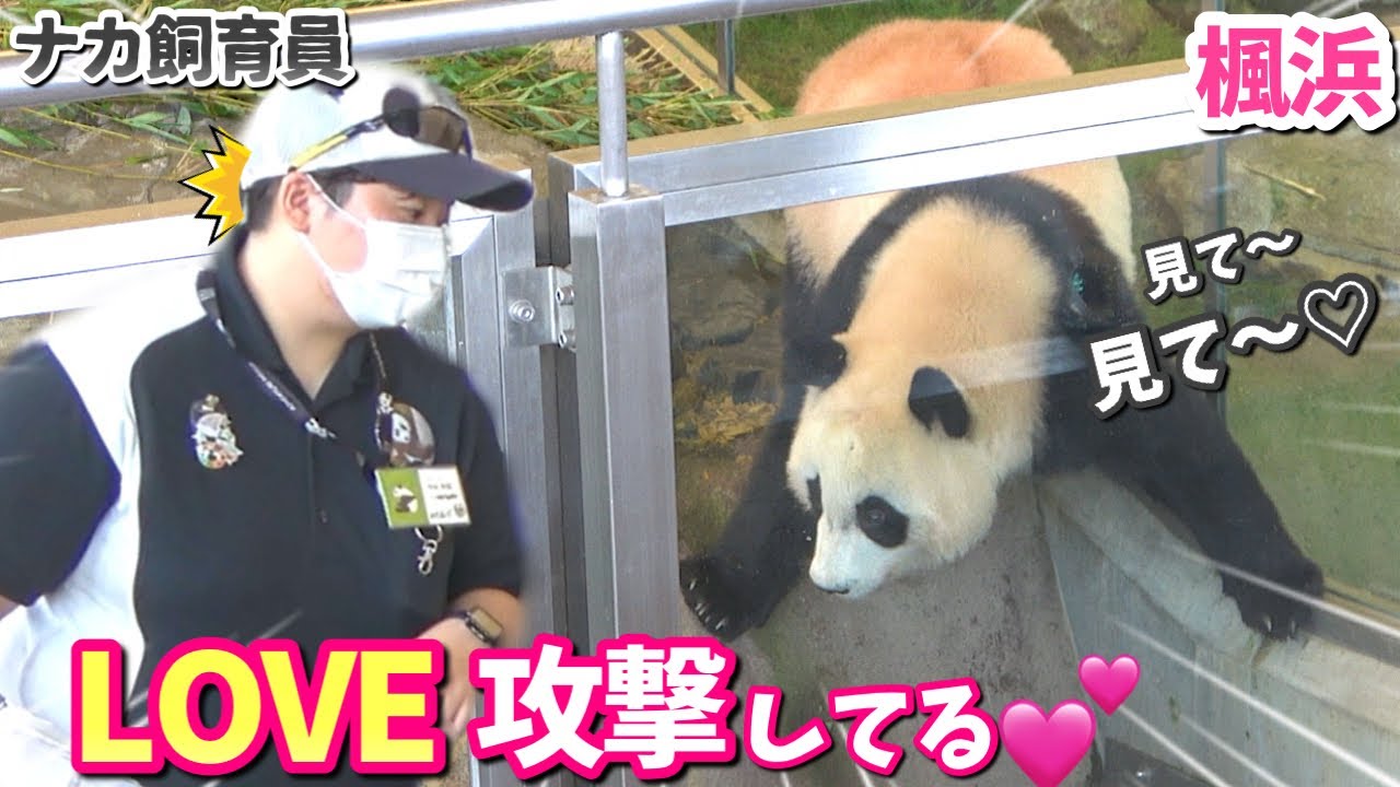 ナカしゃん大好きが止まらない楓浜♡お別れできるのか心配になる💧