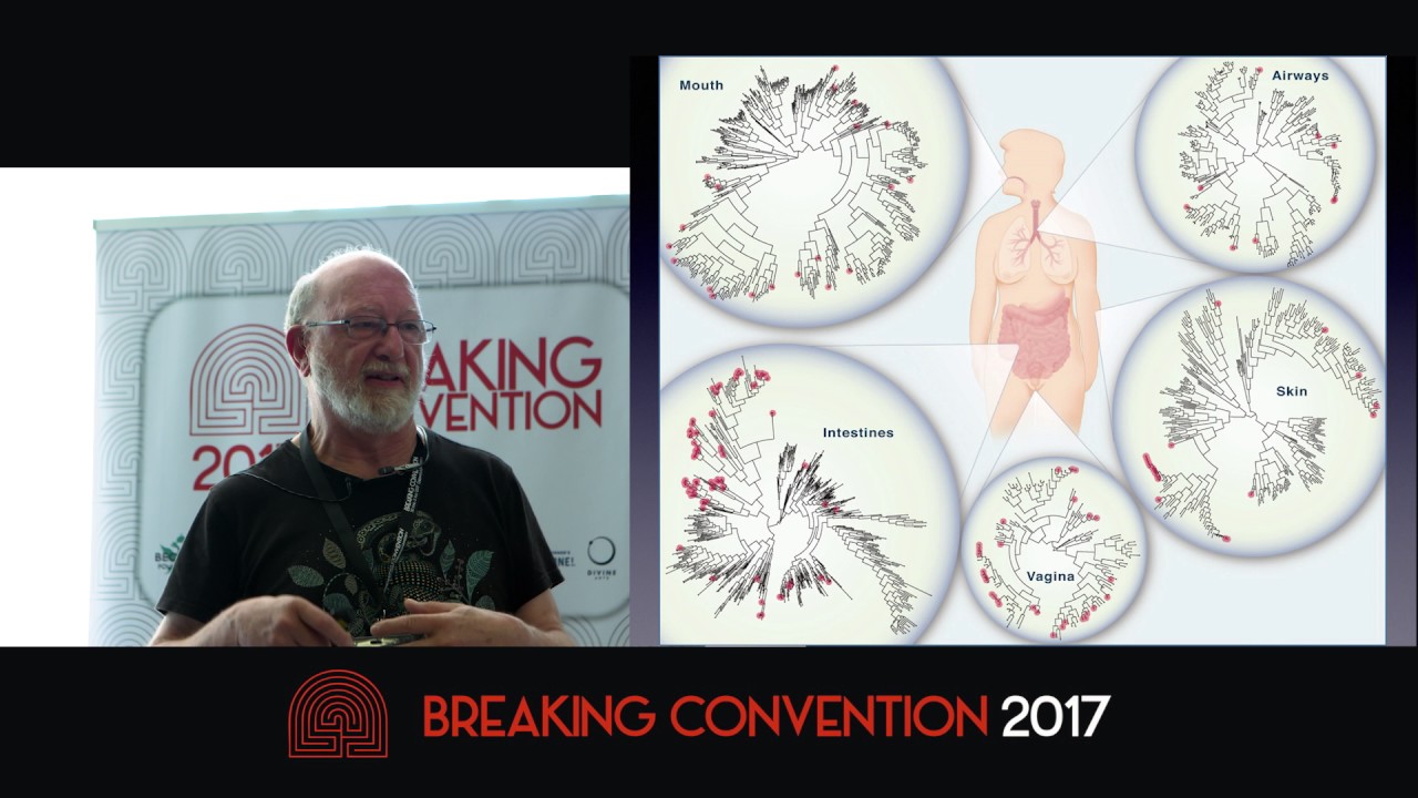 Dennis McKenna - Is DMT A Neurotransmitter For The Gaian Brain?