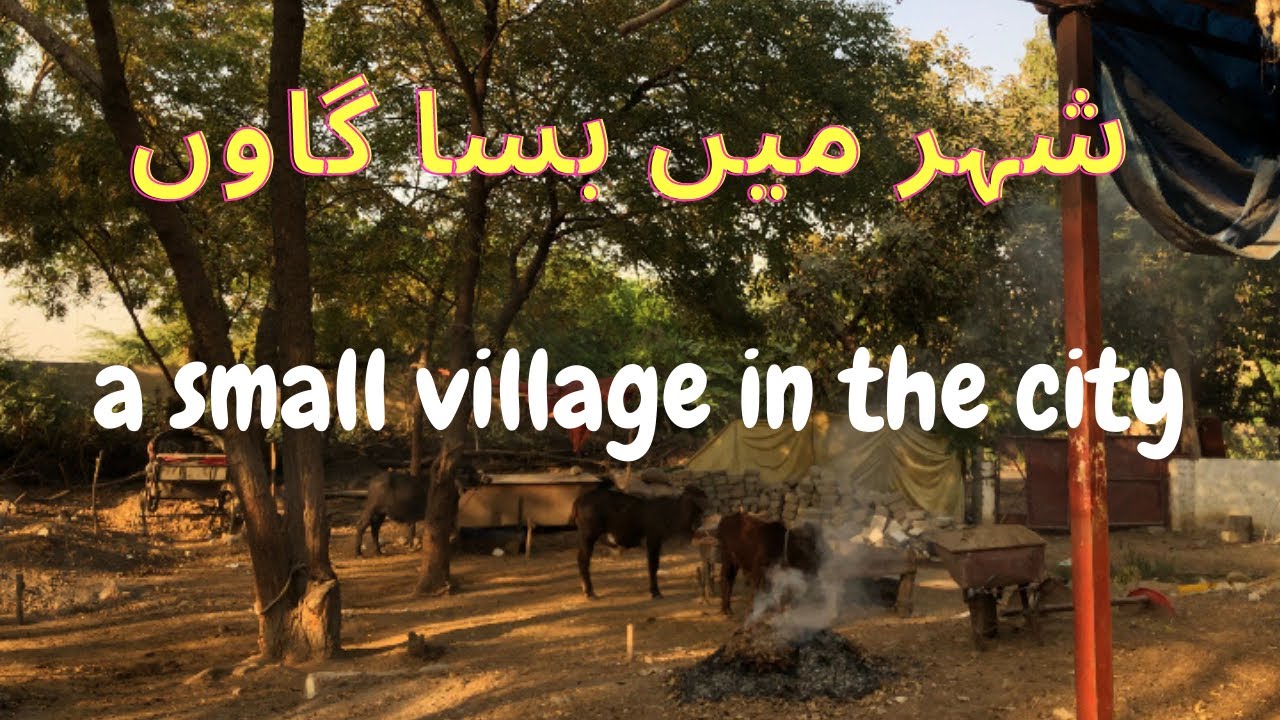 Sher me Basa chota sa  Gaon  | a small village in the city | Gousha afiyat