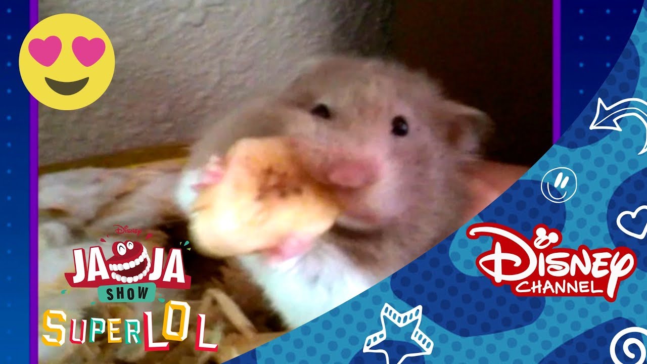 JaJa Show: 100% Adorable | Disney Channel Oficial