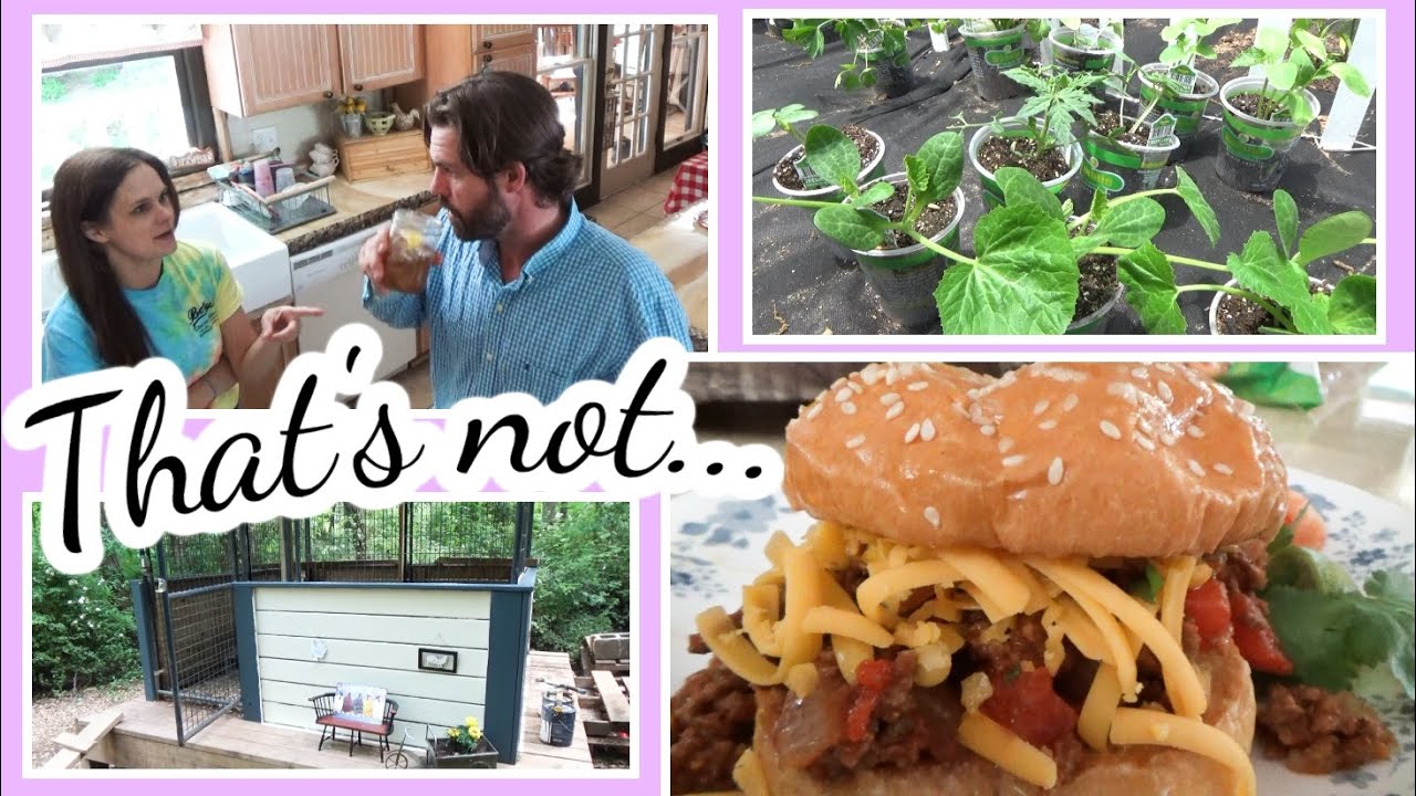 a great idea...🤣 | Painting the Chicken Coop & Taco Sloppy Joes