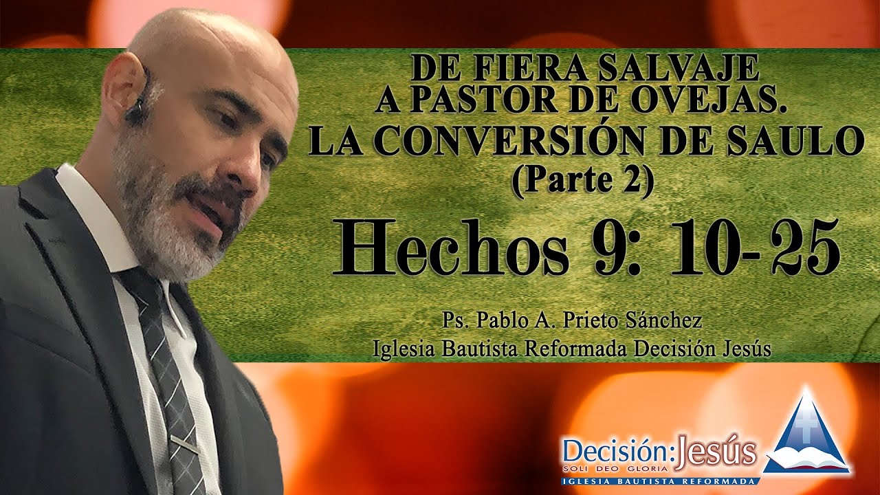 Hechos 9:10-25 De fiera salvaje a pastor de ovejas  - La conversión de Saulo (parte 2)