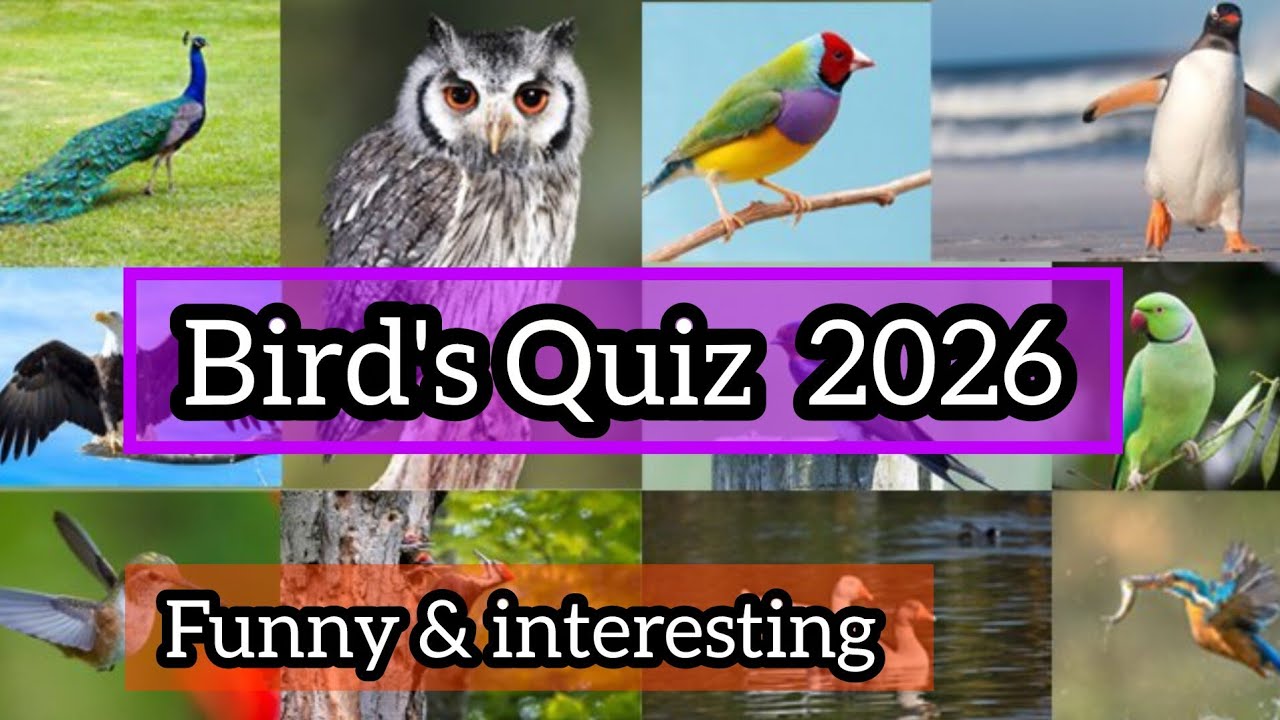 National Bird's day quiz 2026 | Quiz about birds in English | Bird's day Quiz 2026