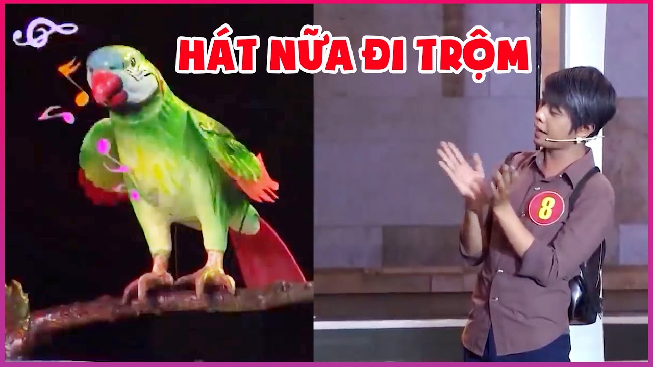 Tuấn Dũng & Đồng Bọn Đi trộm Của Quý Bị Két Lột Lưỡi Hành Hát Bolero Mệt Xỉu - Phim Hài THVL