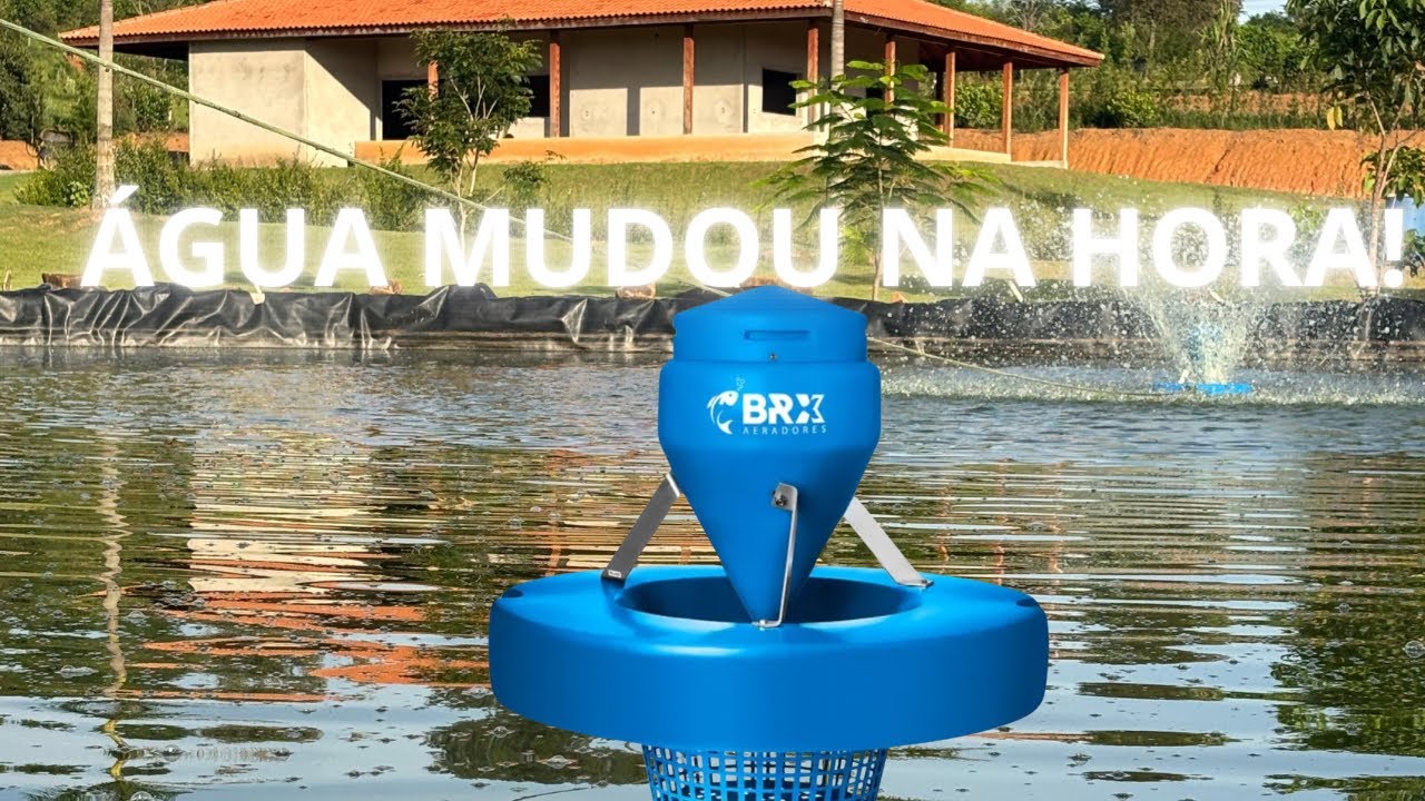Pouco Oxigênio no Tanque? Veja Como Instalar um Chafariz Certo