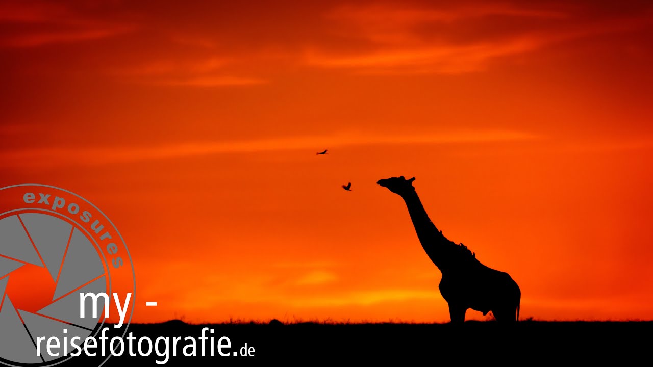 Fotosafari Kenia mit Martin Buschmann