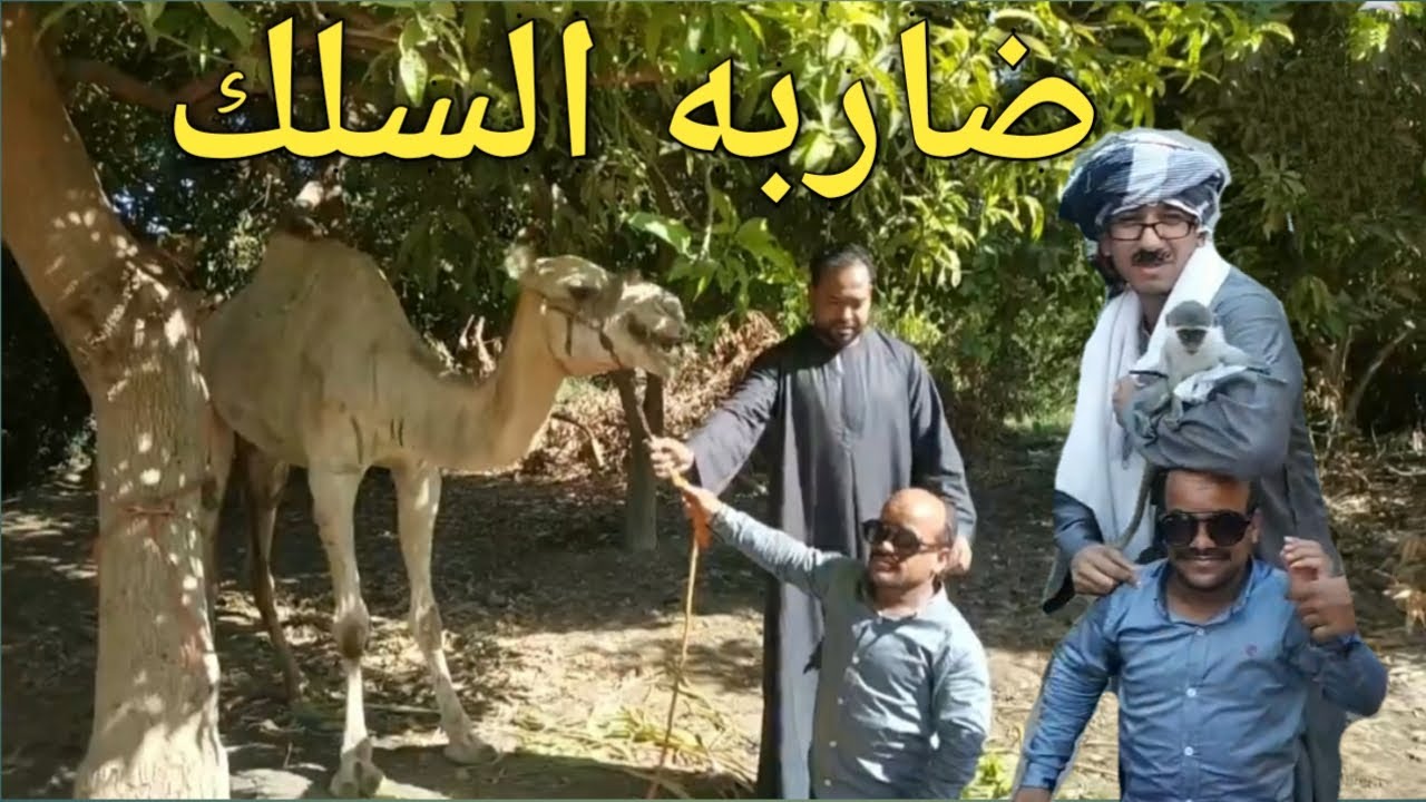 عم شوقي وسعيد الاسطوره زبون اجنبي ضاربه السلك/ضحك هستيري