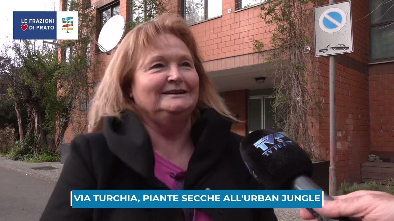 Case popolari via Turchia, quel che resta dell'Urban Jungle: piante secche e scarsa manutenzione