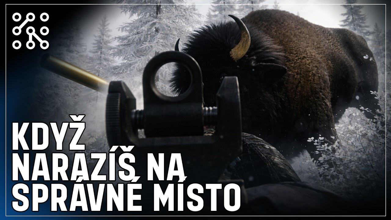 Vybíjím stáda bizonů | theHunter: Call of the wild CZ | Česky