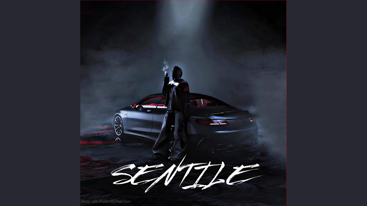 SENTILE