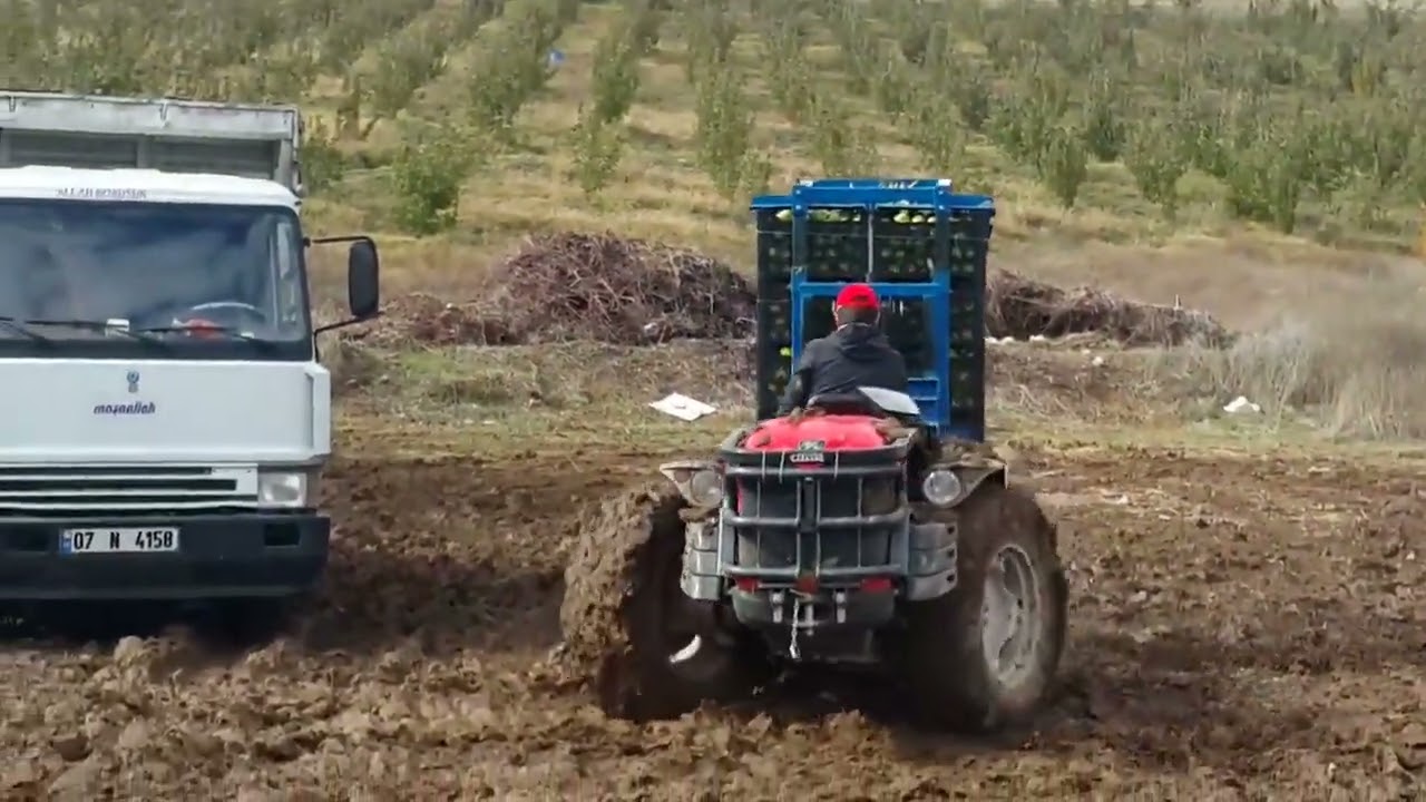 Antonio Carraro TRX 7800 Foklift ile Çalışma