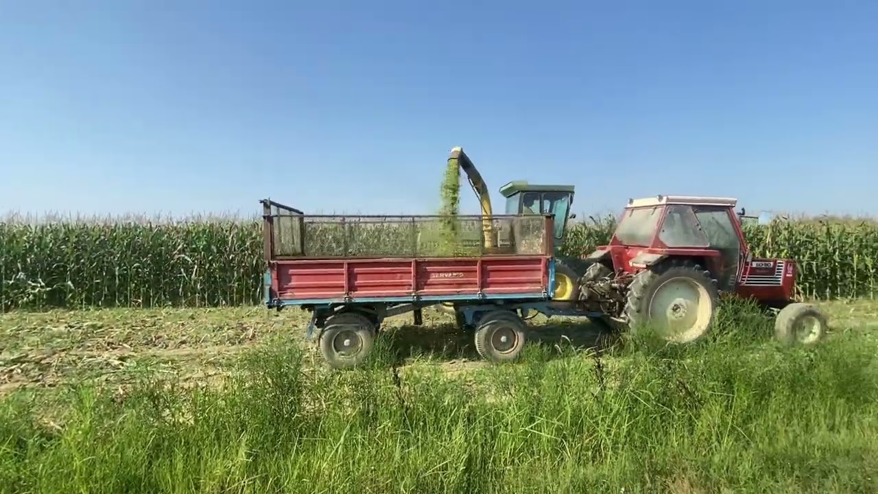 Corn Silage 2024 , John Deere 5460