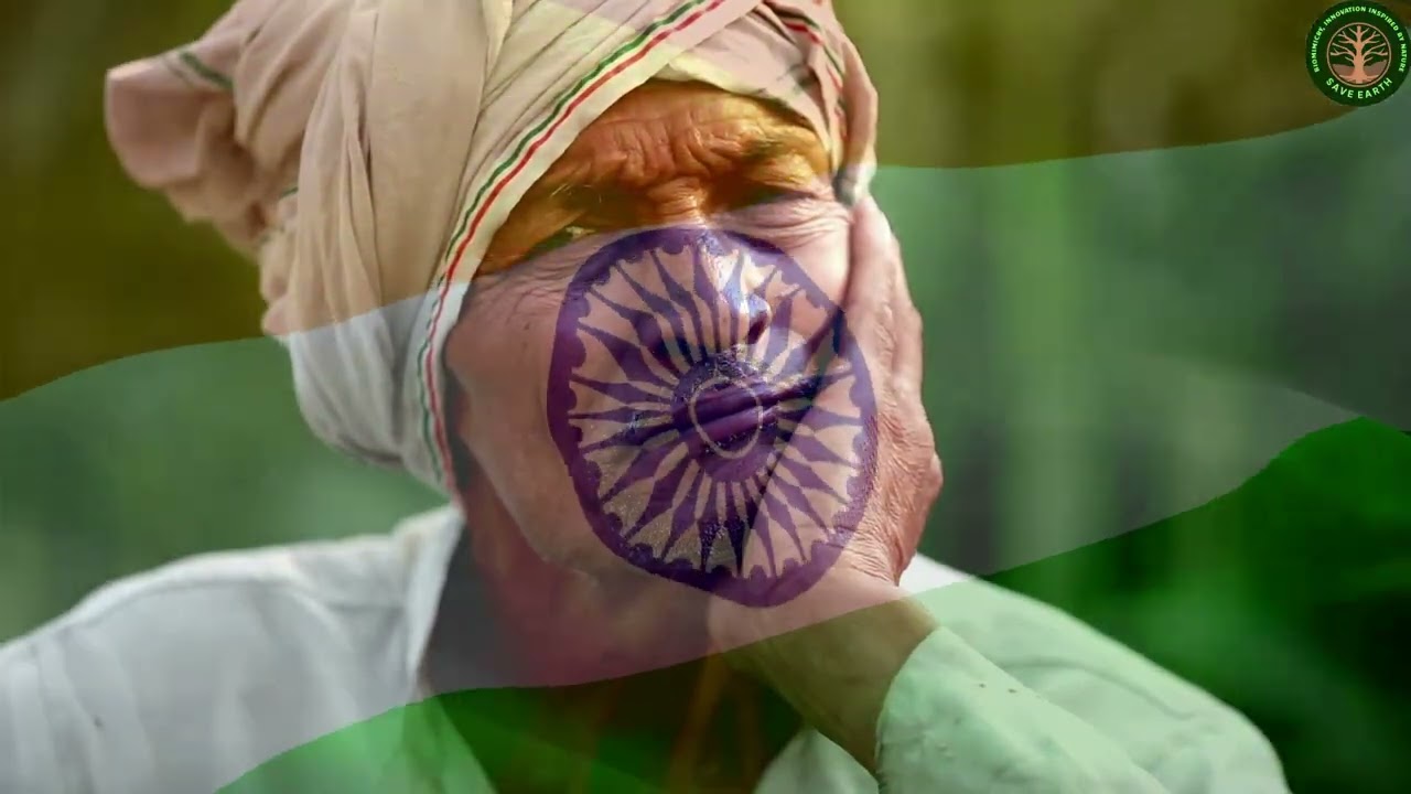 My 2025 Experiment with Indian Culture Changed Everything
