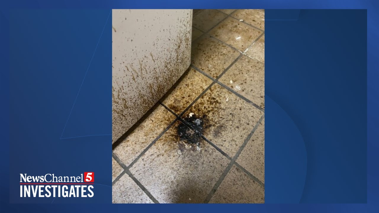 Parents in disbelief after video surfaces of black sludge in school kitchen