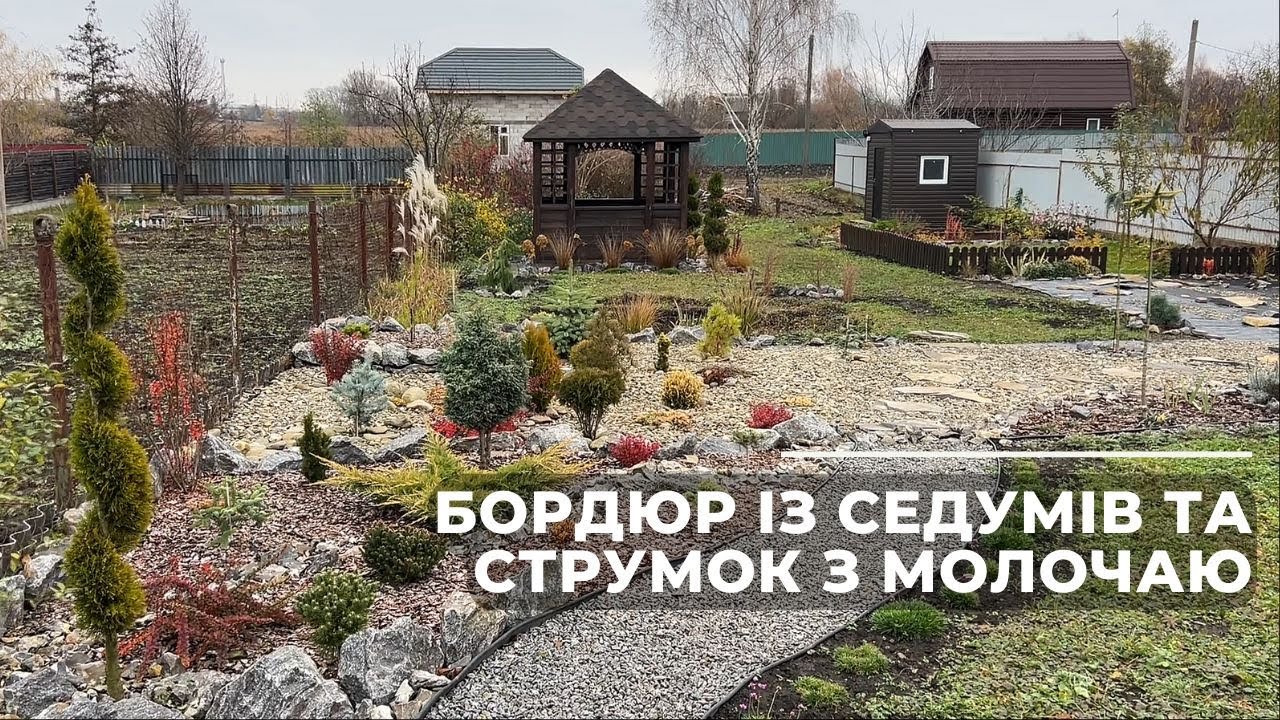 Бордюр із седумів та струмок з молочаю